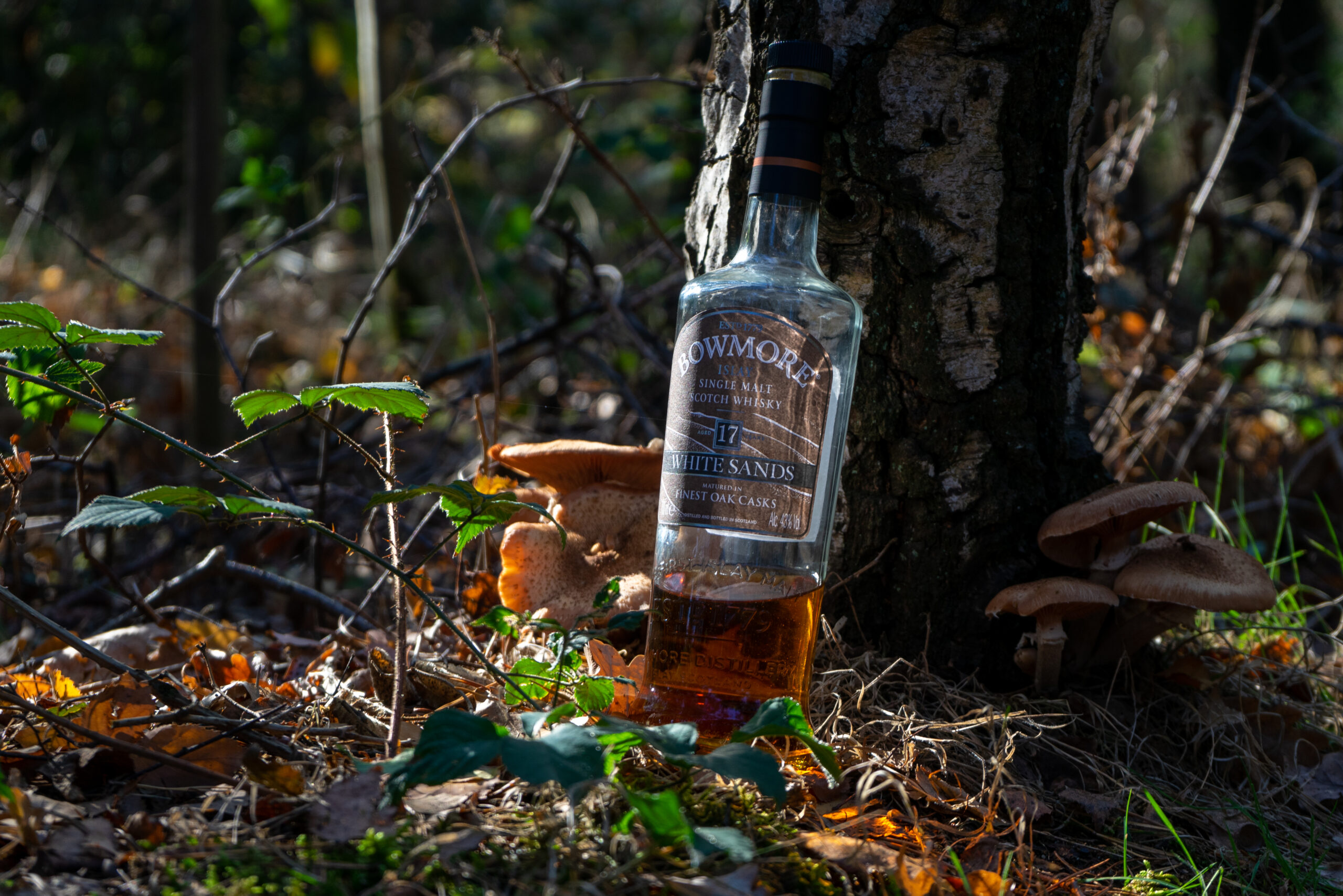 Whiskywanderung Herbst